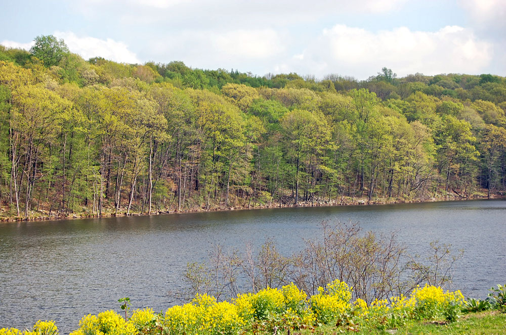 Rockaway Township | Egberts Lake