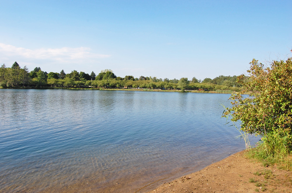 Horseshoe Lake in Succasunna